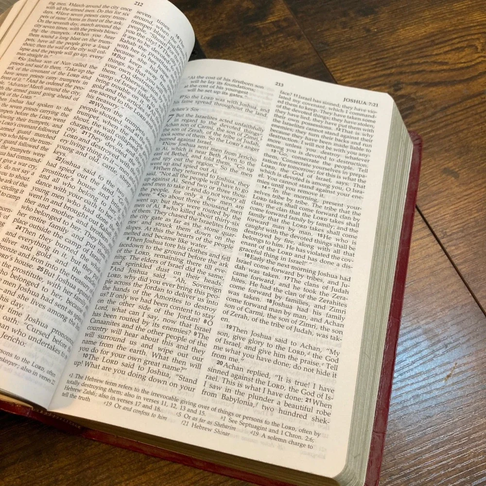 NIV Holy Bible 1998 International Bible Society Red Leatherette Vintage Edition